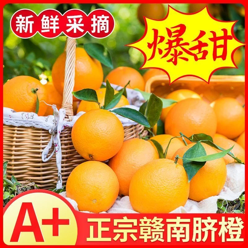 江西赣州脐橙甜橙新鲜现摘现发带叶橙子孕妇水果10斤整箱批发