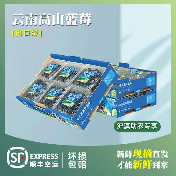 蓝莓精选高高原特色果园优选脆甜出口级现采现发产地直发顺丰空运