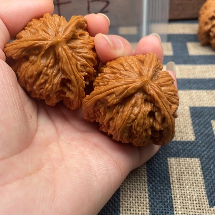 启***航核桃白狮子44核桃