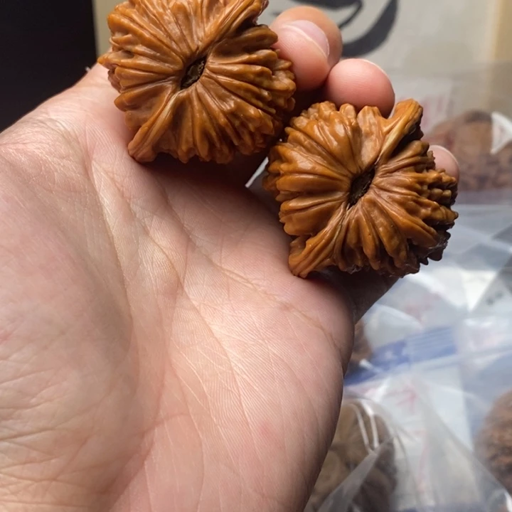 文玩核桃吊坠挂车勿拍11111