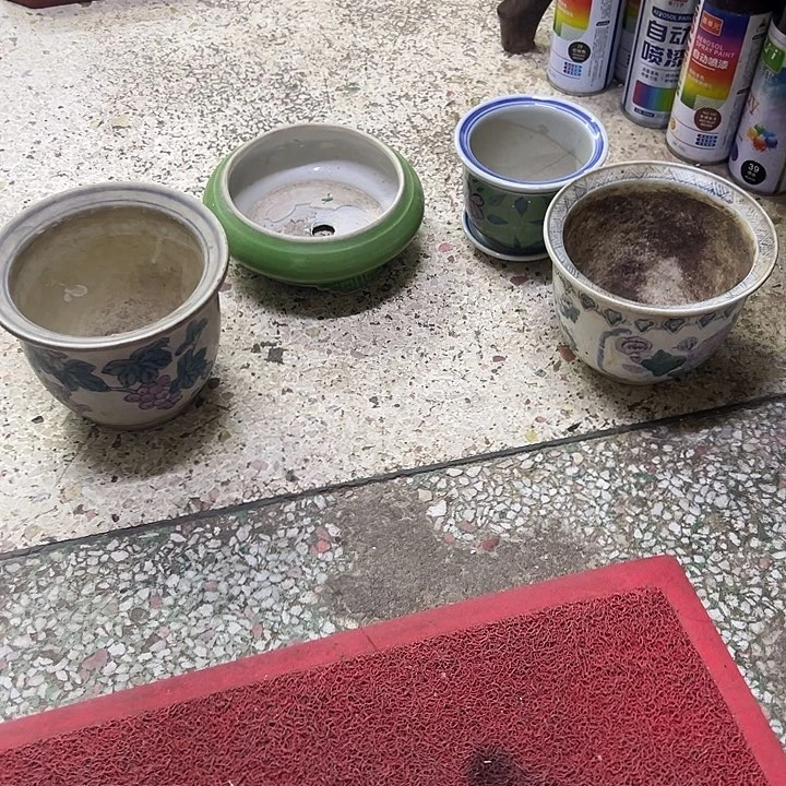 西***楼111111111111111111111