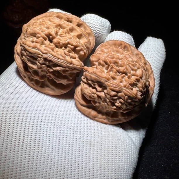 502王者毕业全品货头闷尖白狮子核桃文玩核桃 尺寸:边44肚42高41