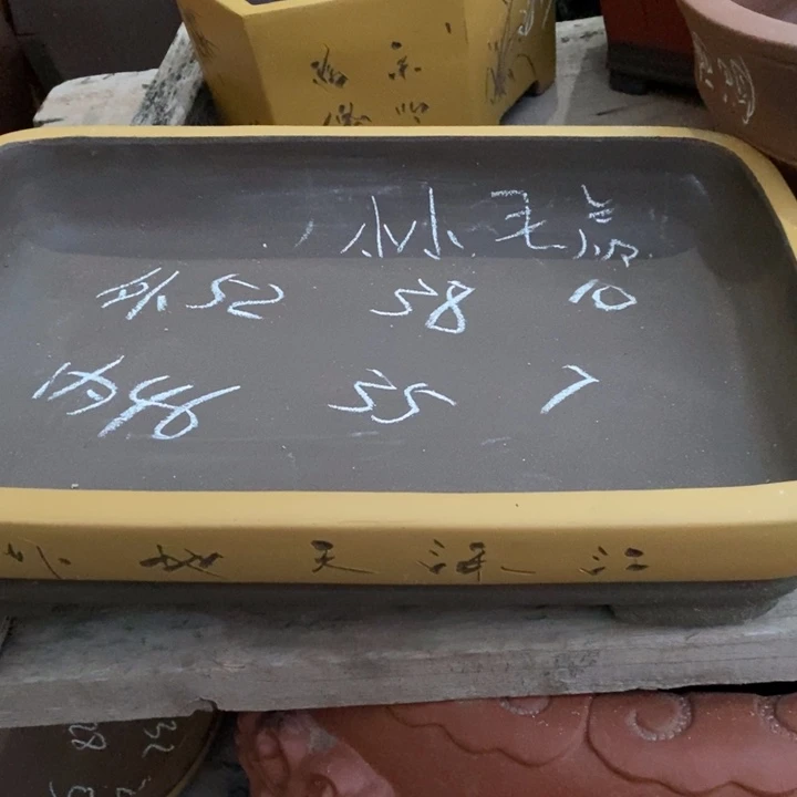 紫砂花盆只顾看手机的