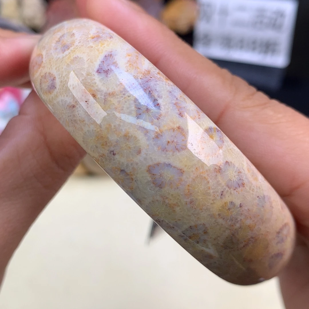 【闪购商品】颈饰未镶嵌硅化珊瑚（珊瑚玉）55号精美手镯59.7圈