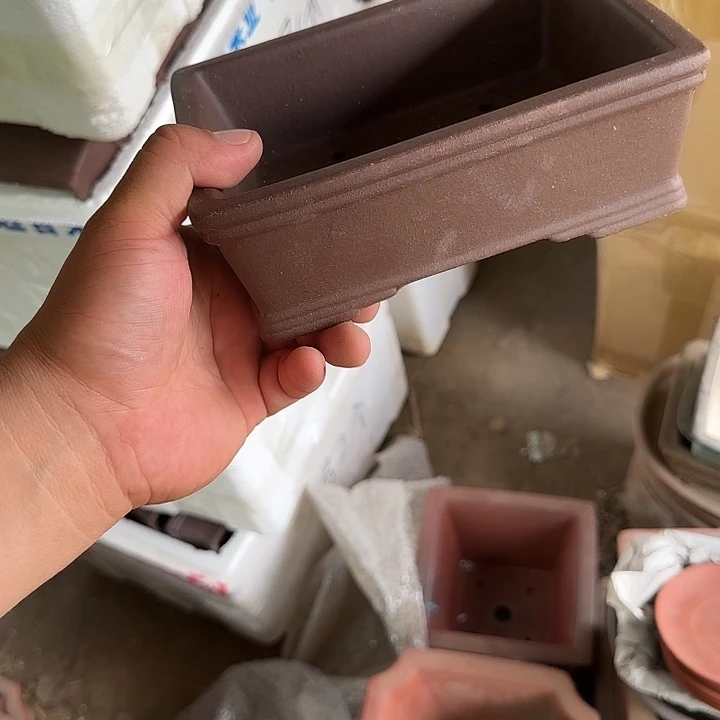 一定不会的哦这不是在和