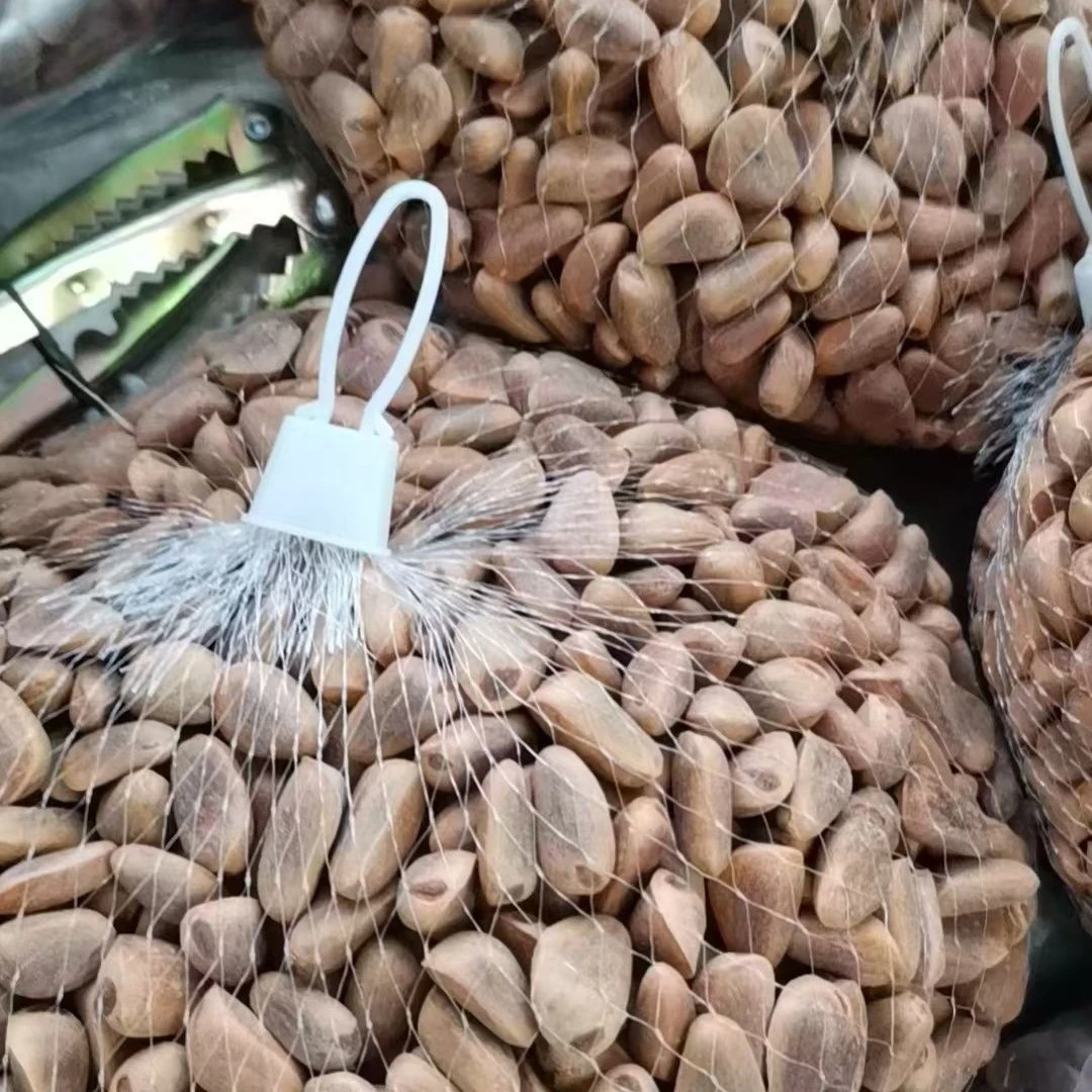 特大颗粒新鲜东北红松子原味不开口生松子新货。产地直发。净含量。