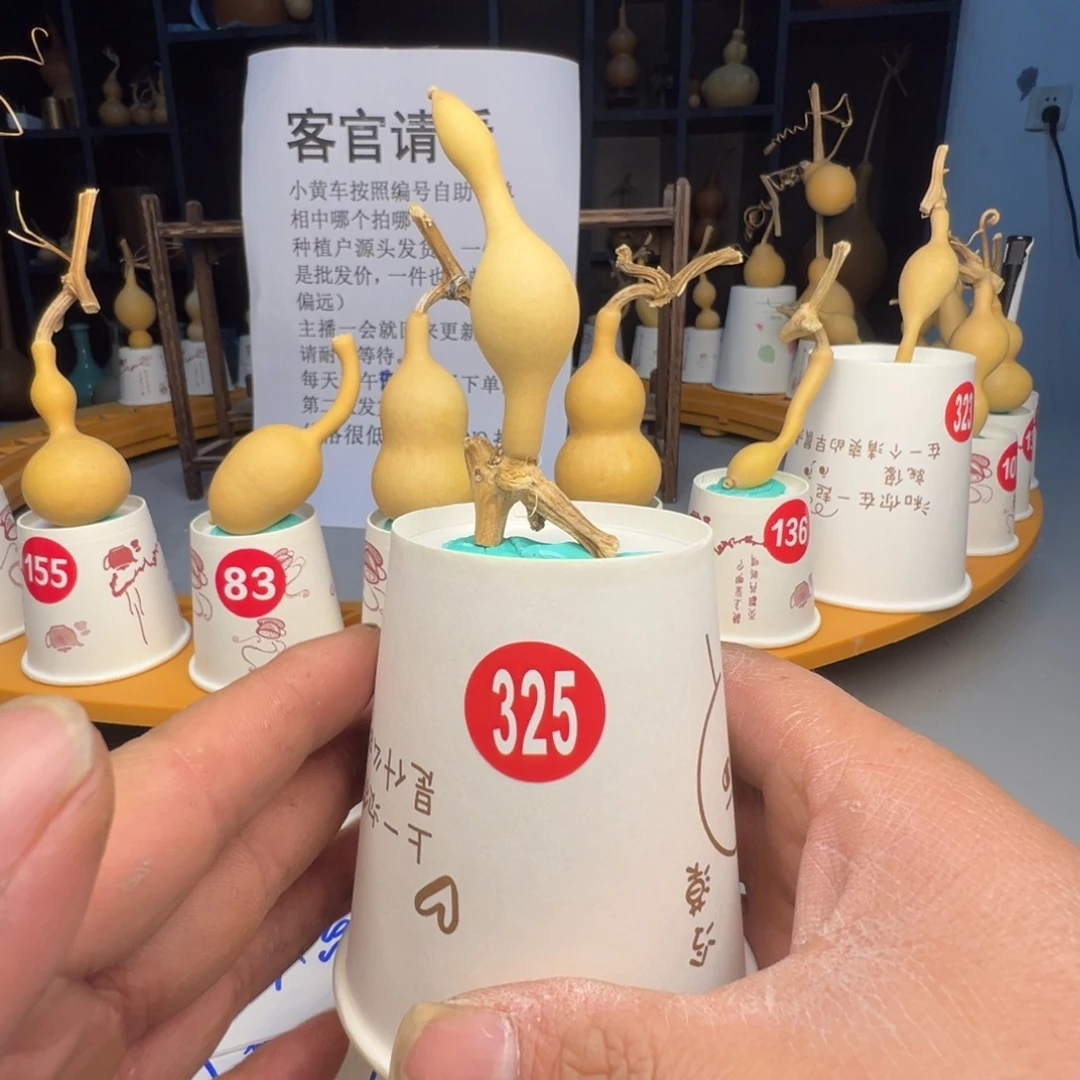 闪电购自助 下单编号325