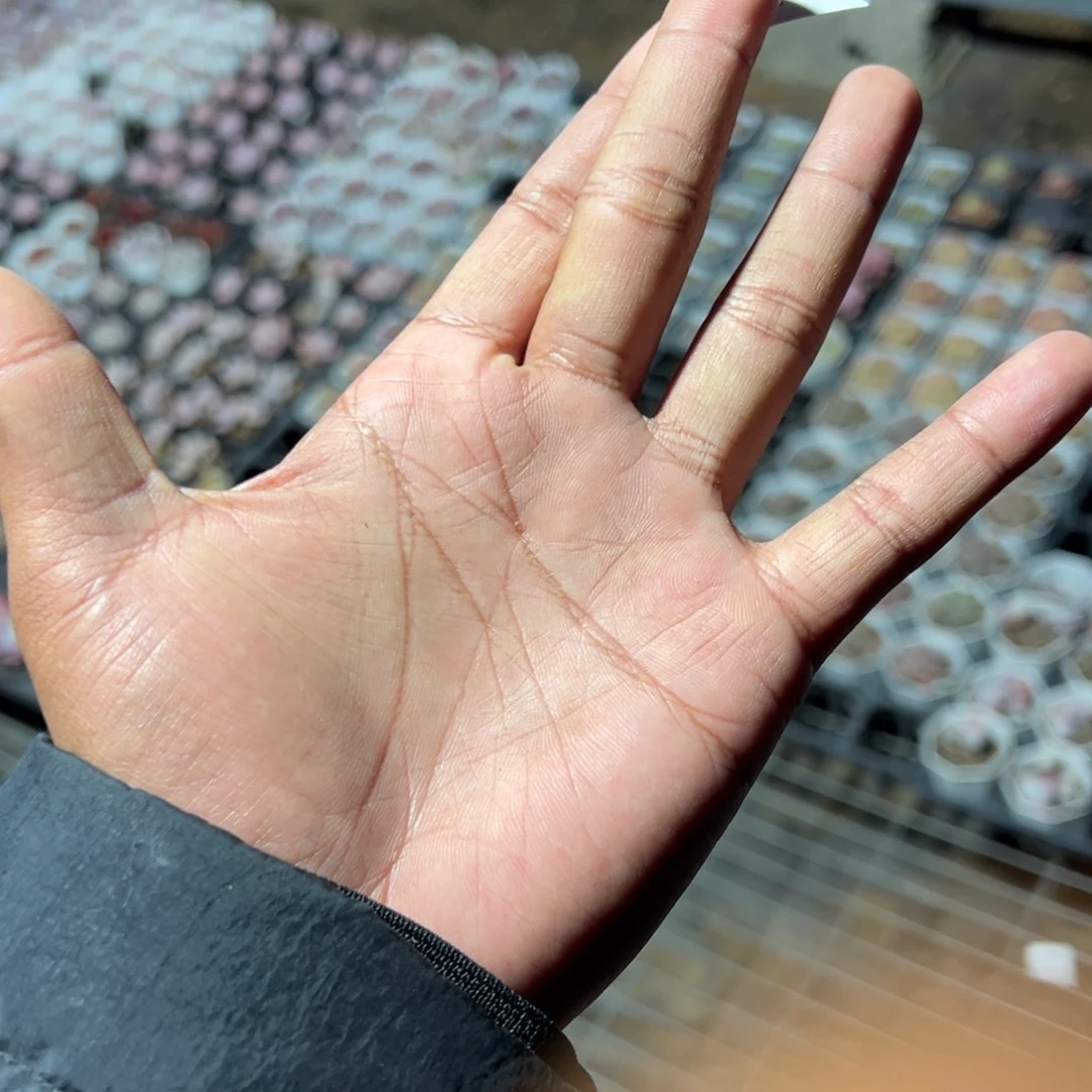 保温箱专拍链接 零下要拍