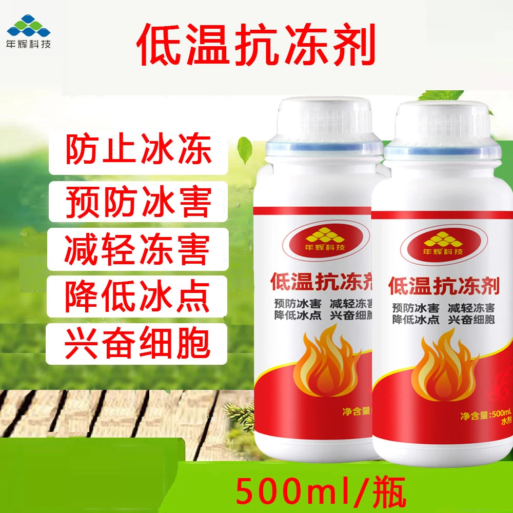 【坚姐推荐】低温抗冻剂-预防蔬菜冻害增强耐寒性菜靓