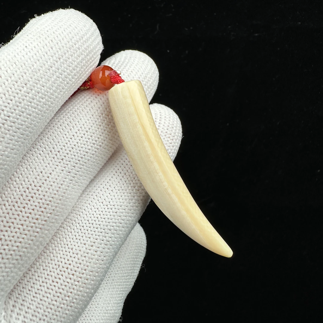 L2654天然猛犸牙 牙尖49mm支持鉴定 假一罚四