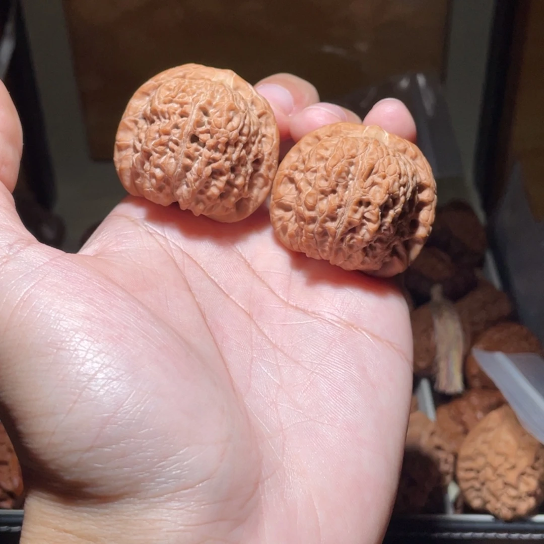 ༄***༅39尺寸全品无修血麒麟