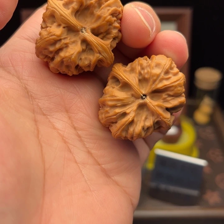 大***~福利单福利单福利单