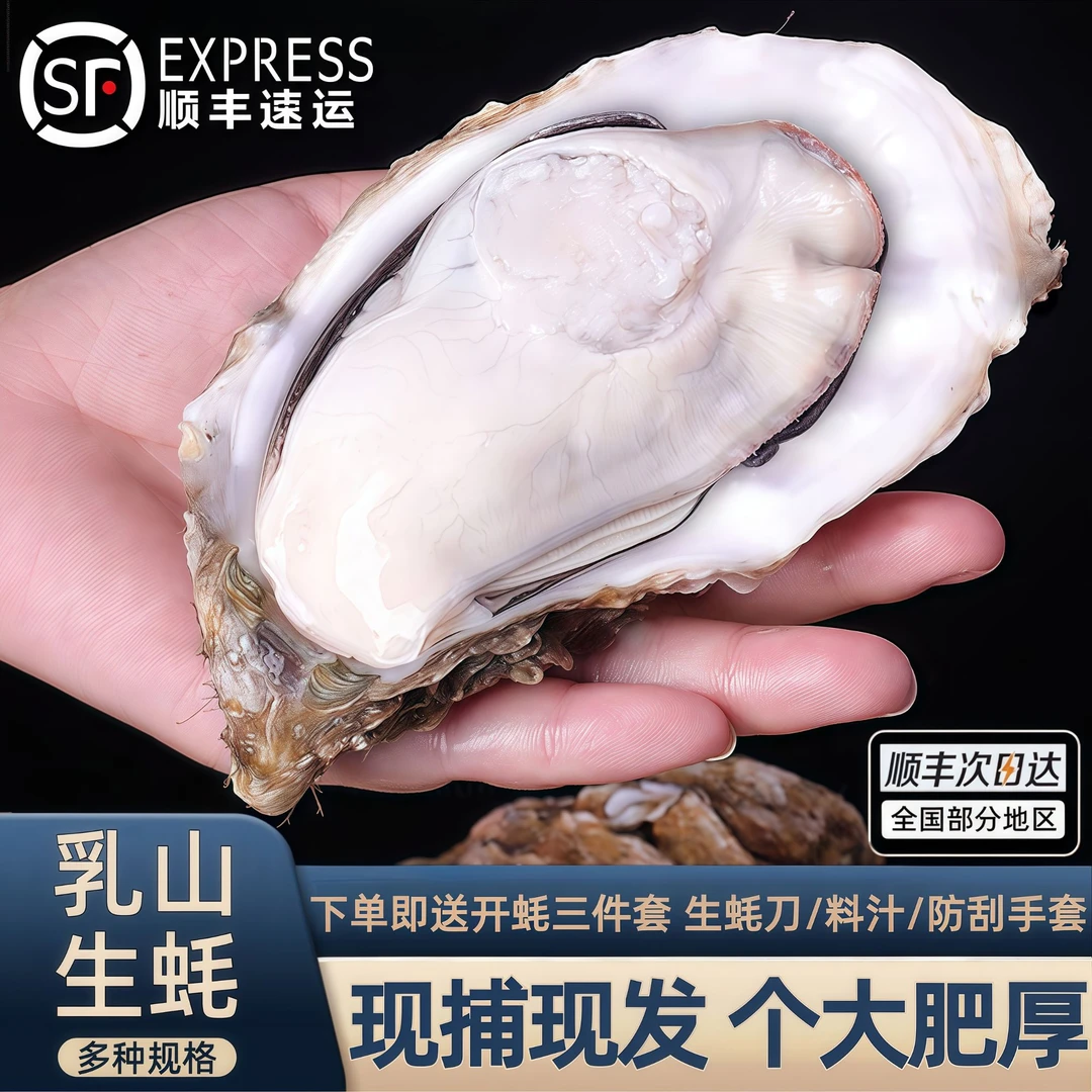 山东乳山生蚝大小一样包肥包活肥美 鲜活海鲜新鲜美味5斤/8斤装