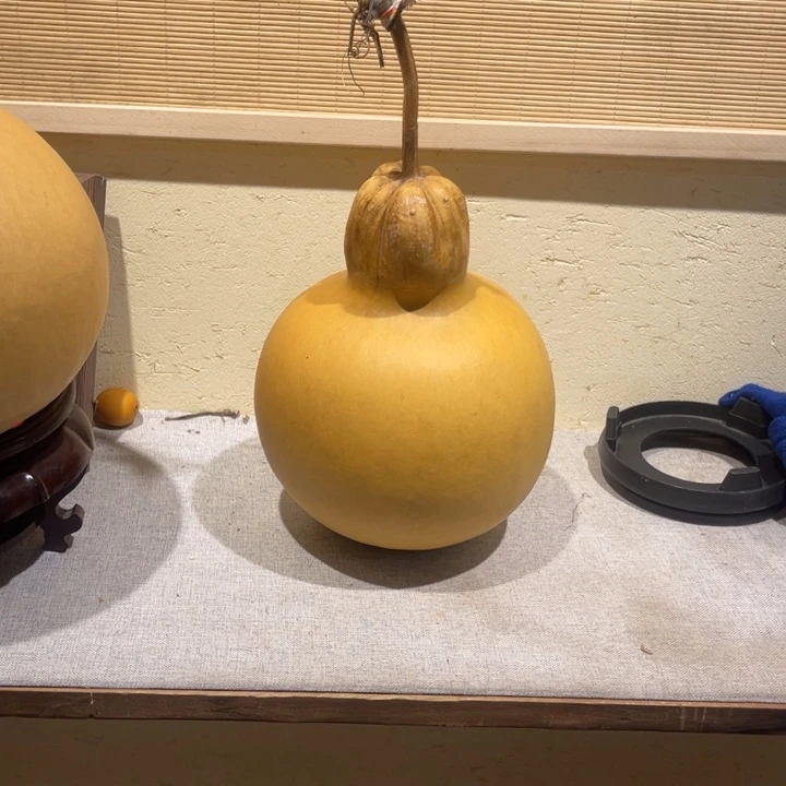 三***草仿木不包邮不保龙头