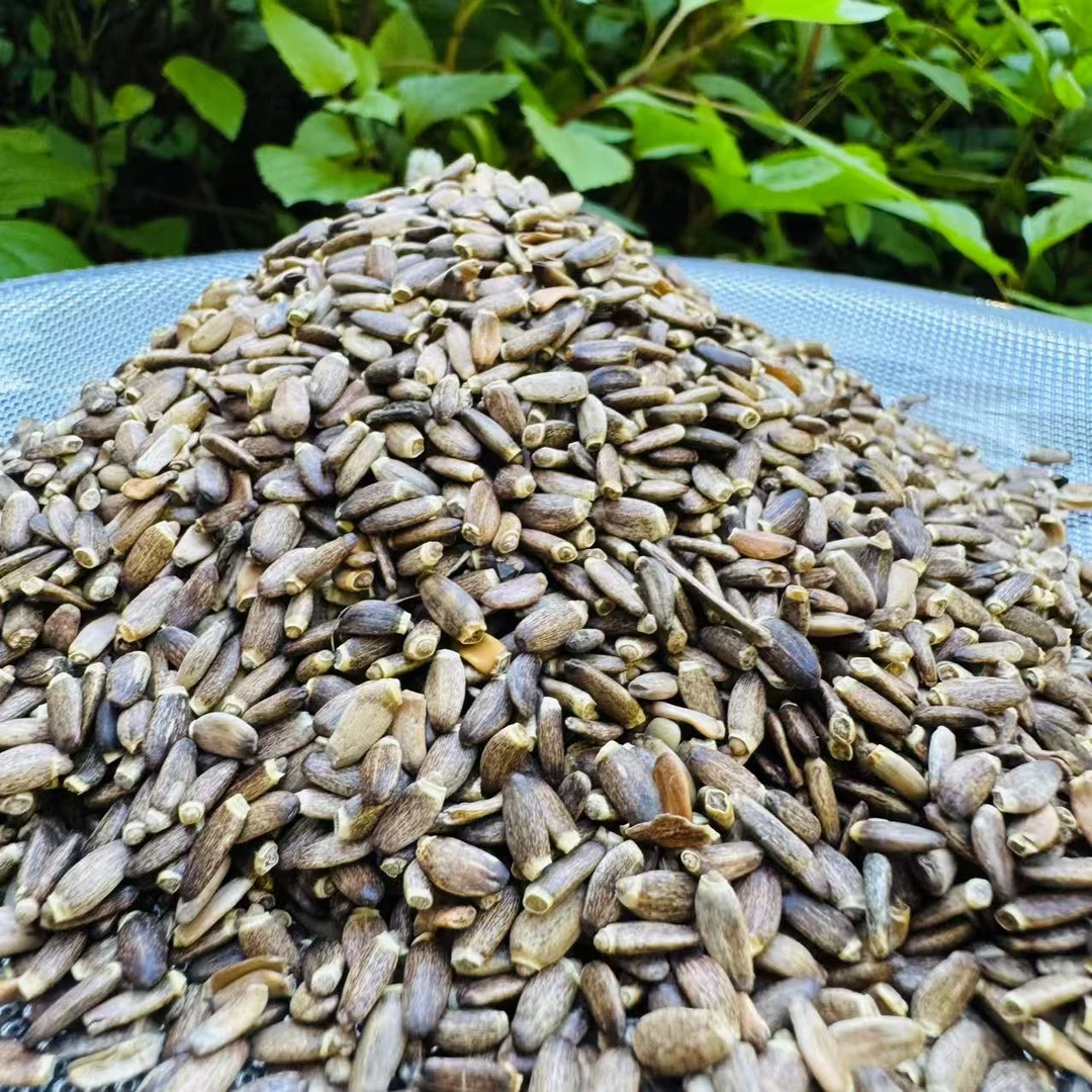 【水-飞-蓟】菌净含量250g-1000g【阿虎现收】
