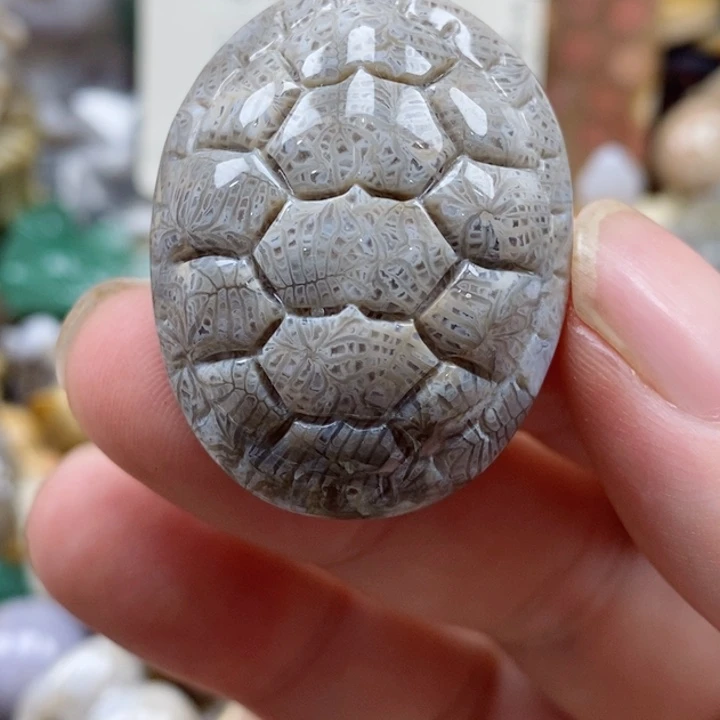 硅化珊瑚（珊瑚玉）未镶嵌颈饰