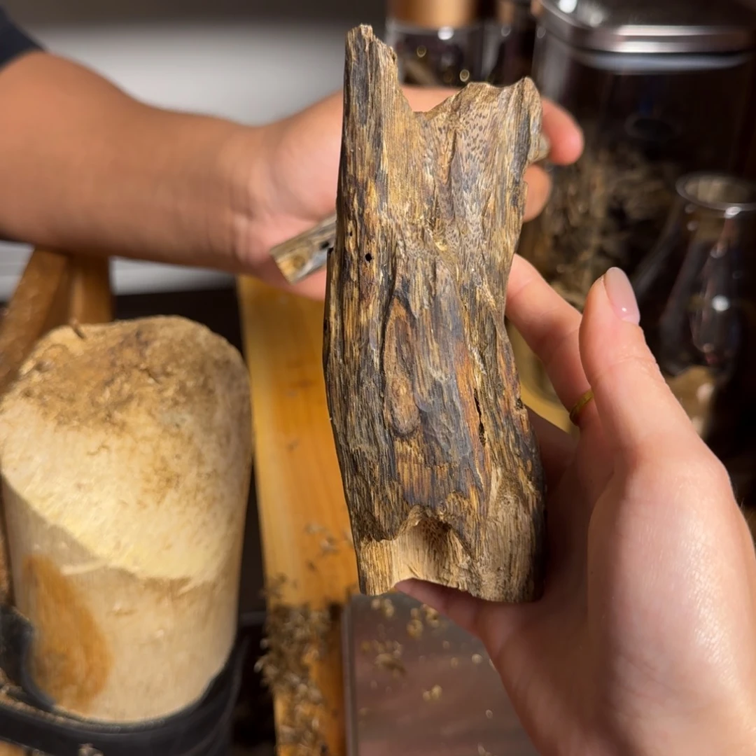 沉香白奇千里香品种虫漏香59克