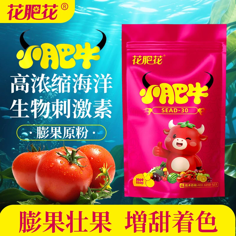 小肥牛海洋生物刺激素膨果水溶肥料膨大果实上色增甜冲施西红柿