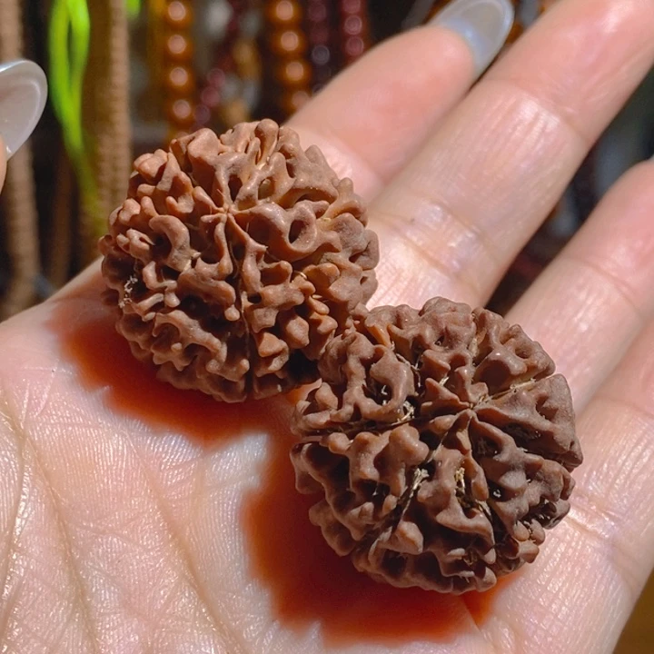 野生多瓣大金刚把件