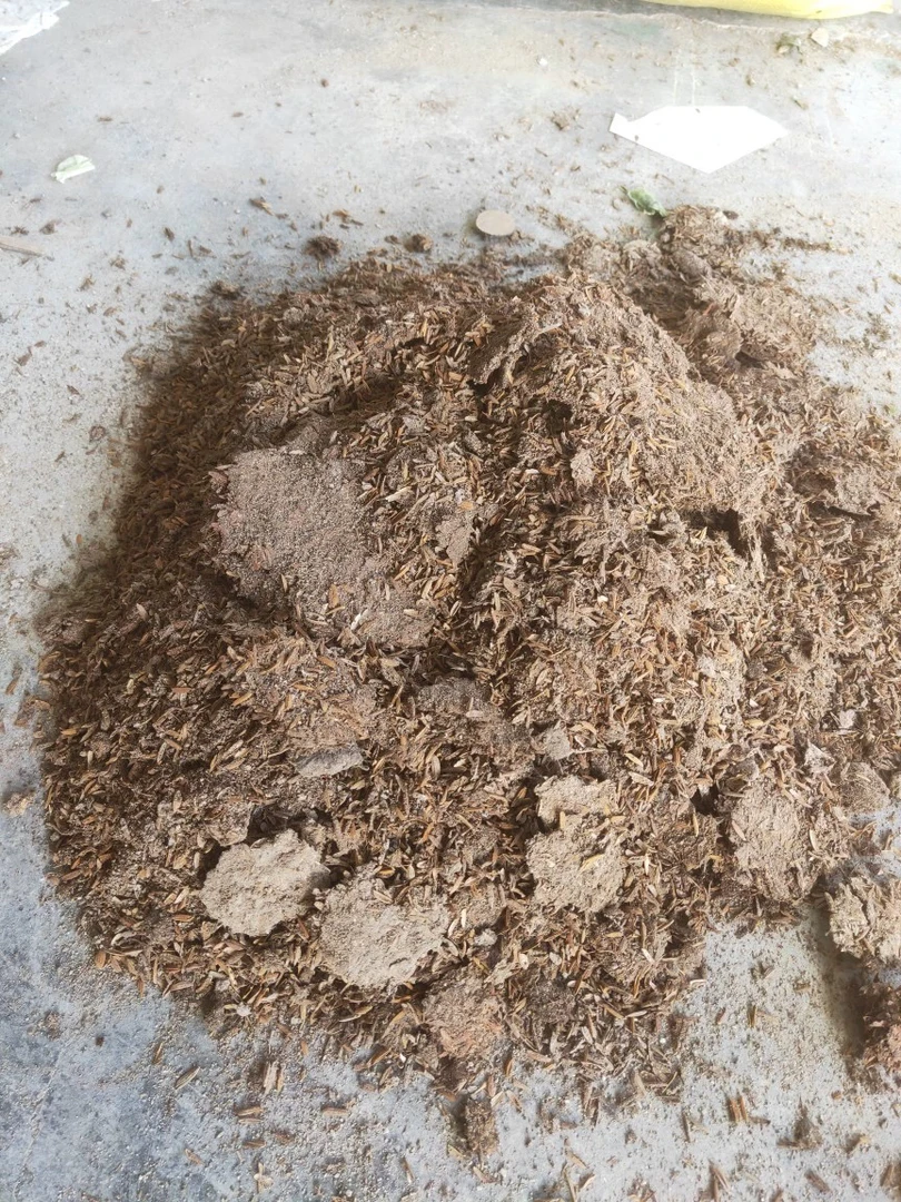 基地自用有机肥，改善土壤，保暖保湿