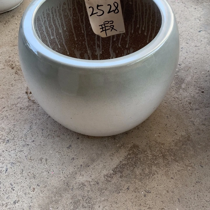 花盆里的小猫咪们都好可爱啊哈哈哈