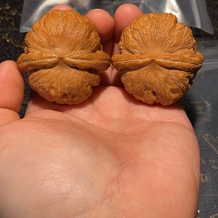 梦***城核桃手串/手链41元宝