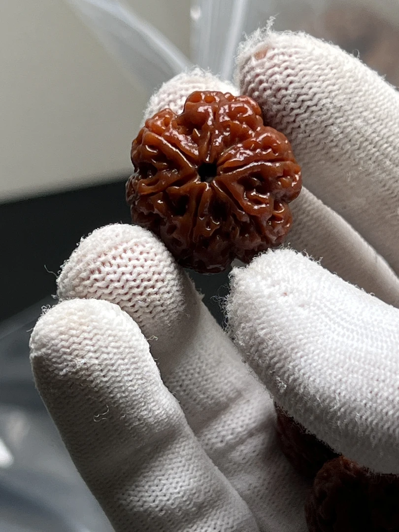 【六龙方尊】六瓣金刚超头货