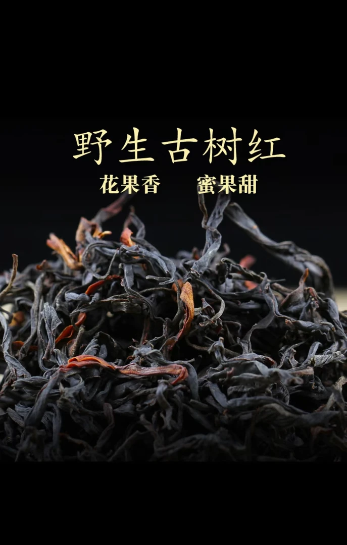 2025年易武贡茶园野生红茶普洱茶100g