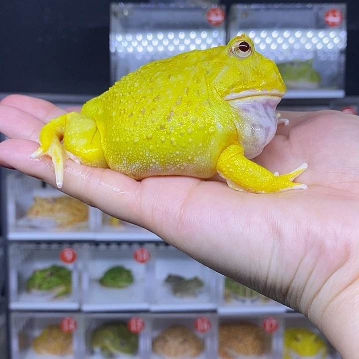 特价秒杀现货供应