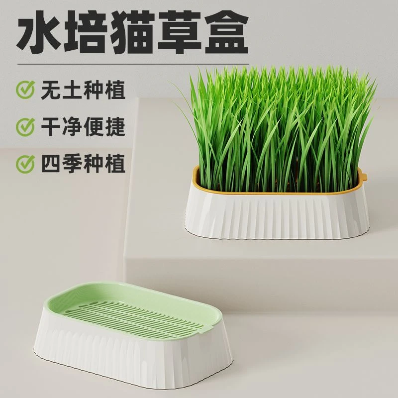懒人猫草水培盆水培杯种植排毛球化毛草盆猫咪零食盆栽猫草种子