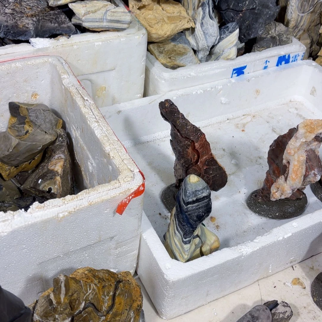 ?****?附石盆景一物一拍