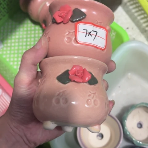 2［所有订单凑满15包邮］7×7