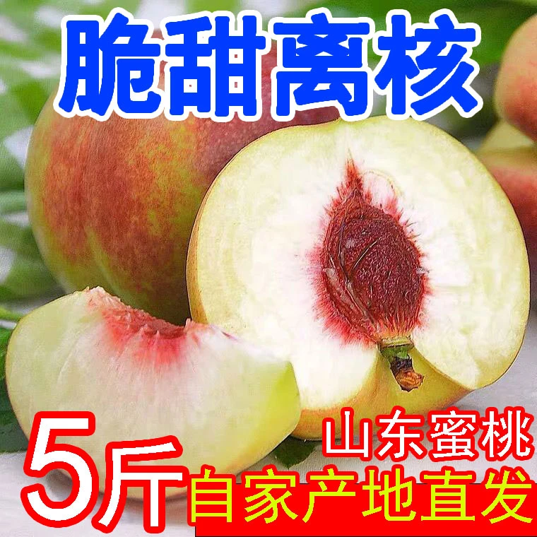 【新店福利】青州小蜜桃新鲜采摘脆甜多汁肉厚老少适宜水果