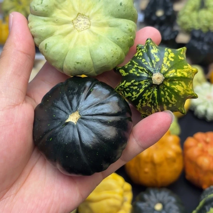 ?****发福利福利福利福利福利