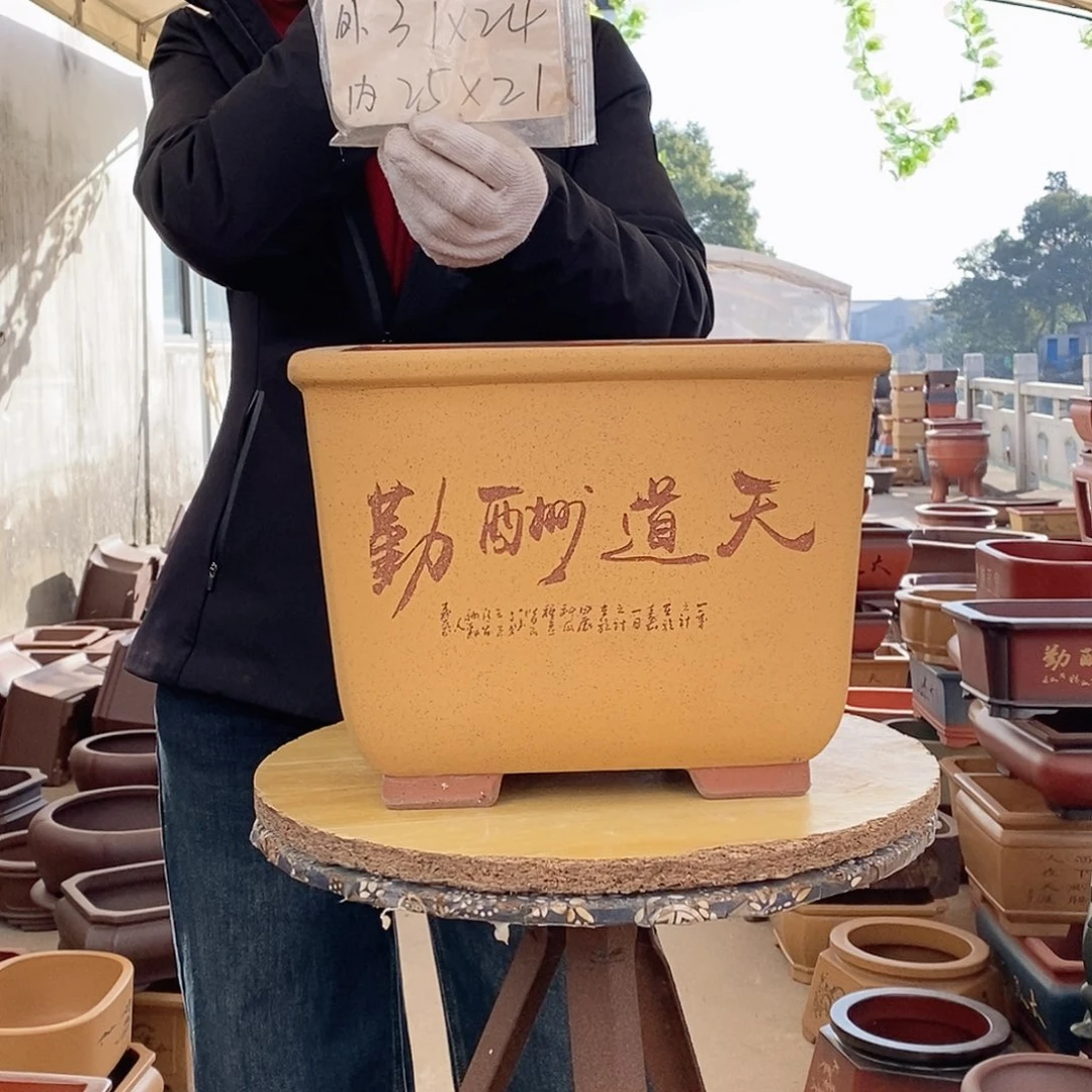 紫砂花盆紫砂花盆