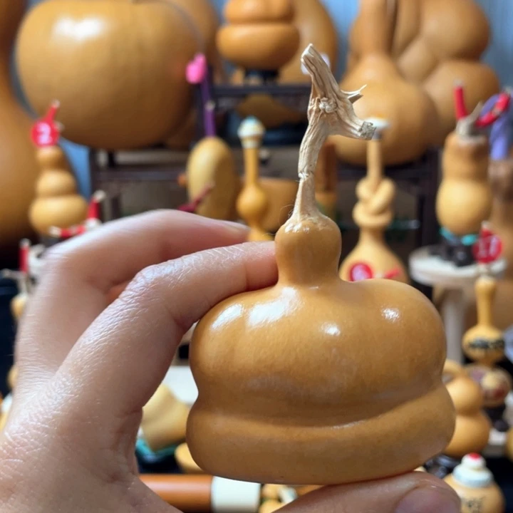 U***兔我在等你们看演唱会直播平台