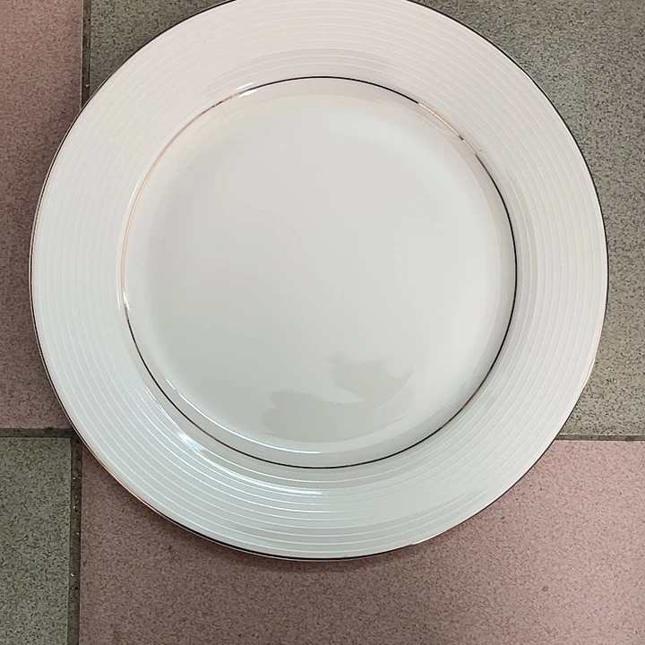 新骨瓷5个10.5英寸浮雕圈圈金边平盘微瑕不退不换