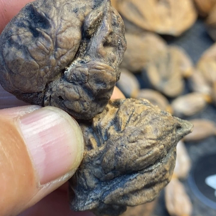 吊坠文玩核桃娜姐134