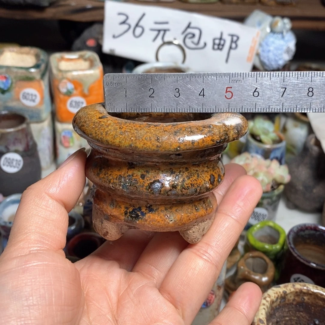 我**傲花盆拍3送个9·9的盆，拍5送同款