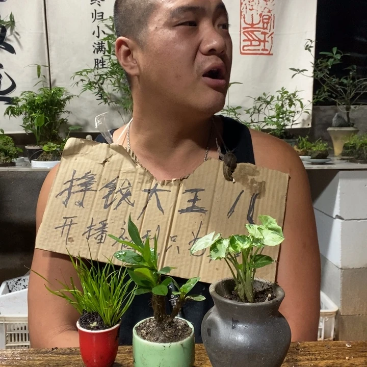 无花朵退款拉黑拉黑61