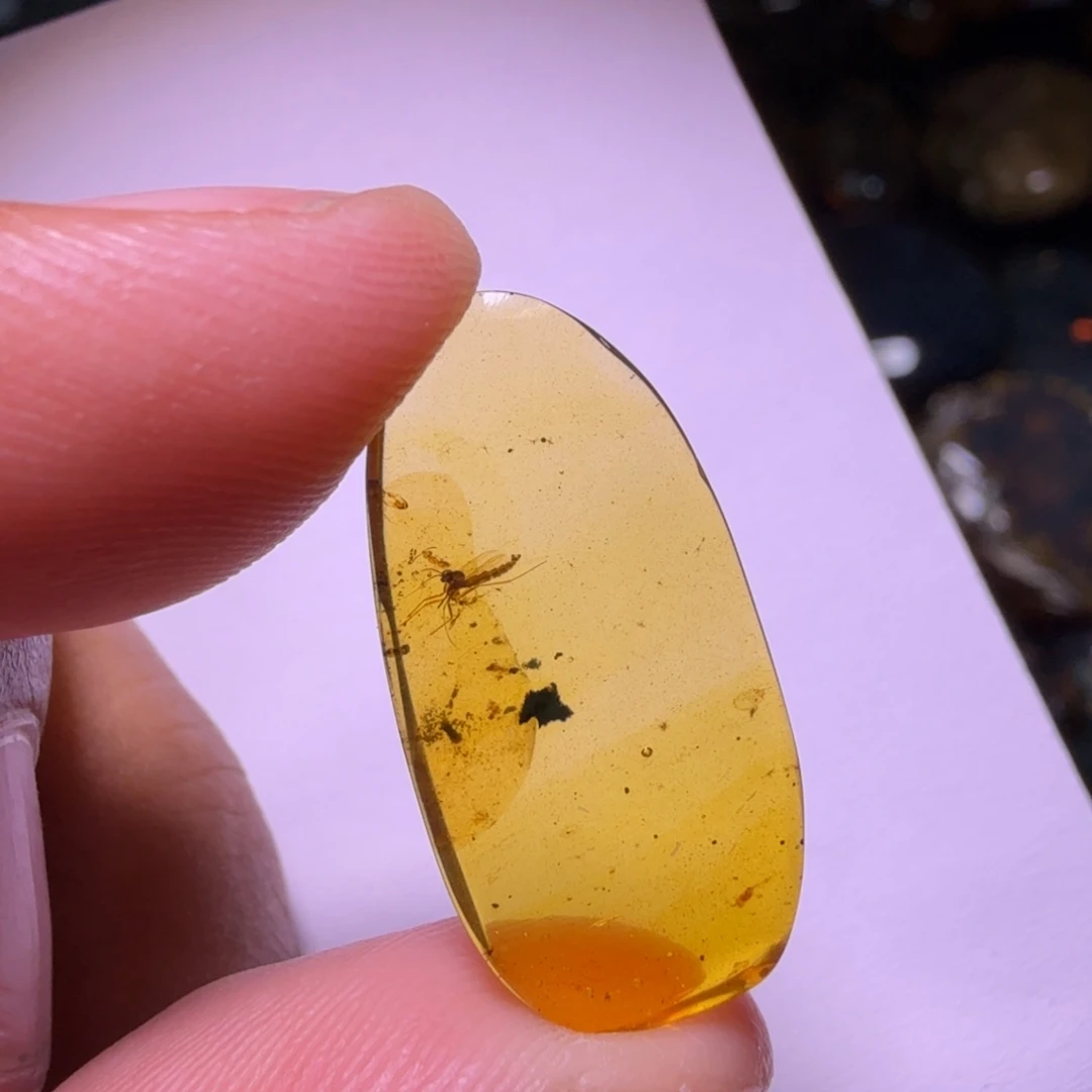 用***1琥珀未镶嵌裸石，，，
