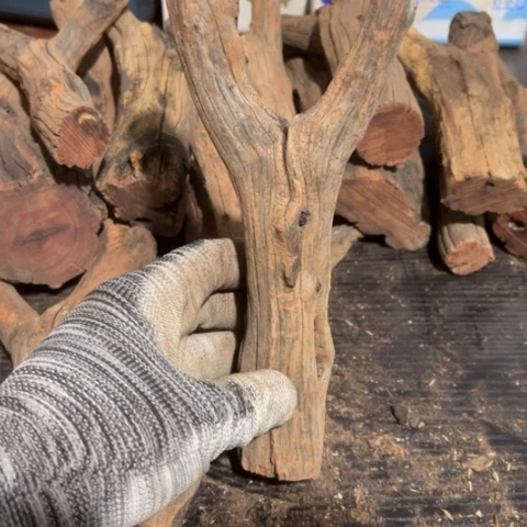 大果紫檀（缅甸花梨）@****车