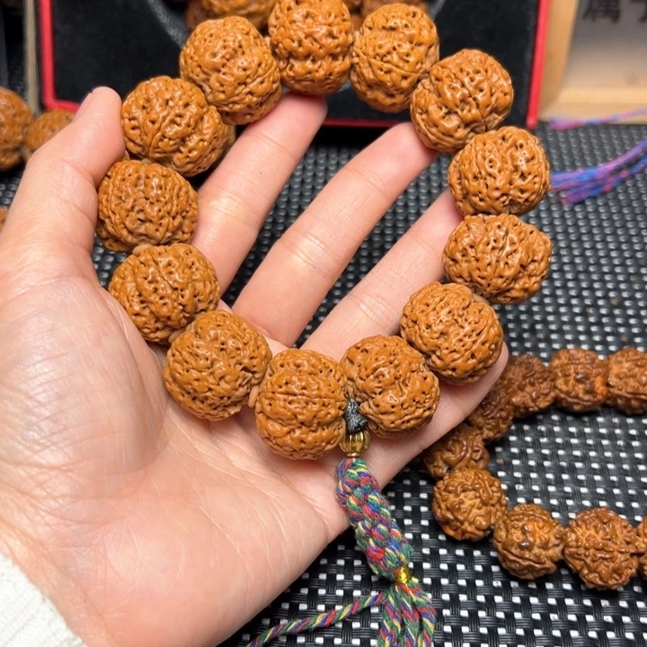 手串金刚菩提五龙至尊