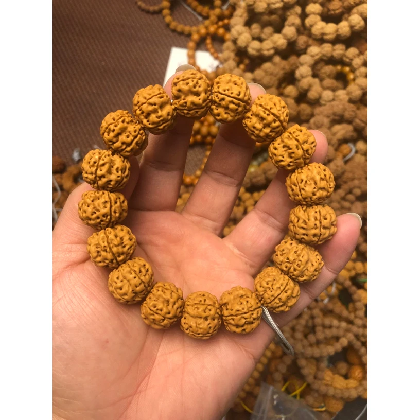 帝王龙手串18-19mm金刚菩提手串小金刚菩提籽粗筋爆肉梅花桩手串
