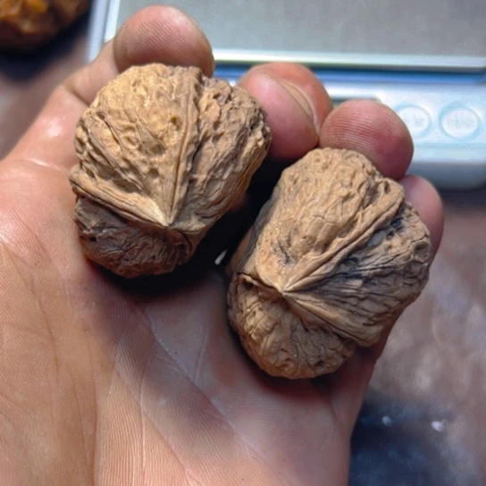 文玩核桃把件卡39异形23号