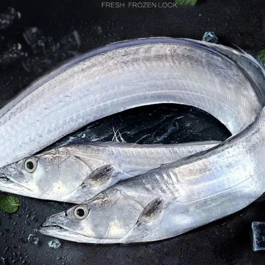 大带鱼 新鲜速冻 野生海钓带鱼 【400g-500g】/条 到手6条