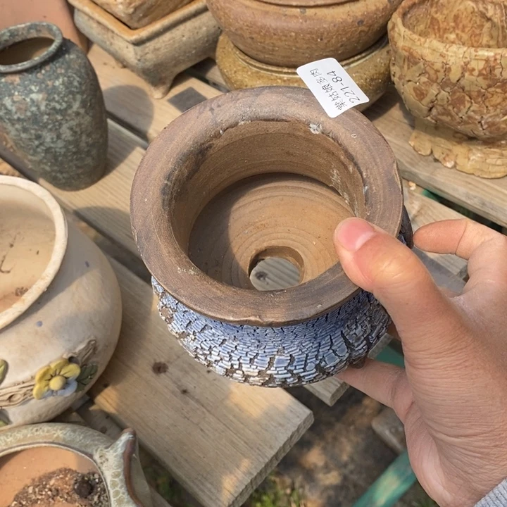 红陶时**雨84号多肉盆一个呀