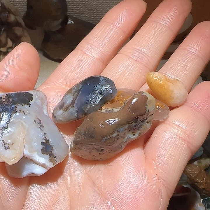 戈壁石小*?阿拉善奇石