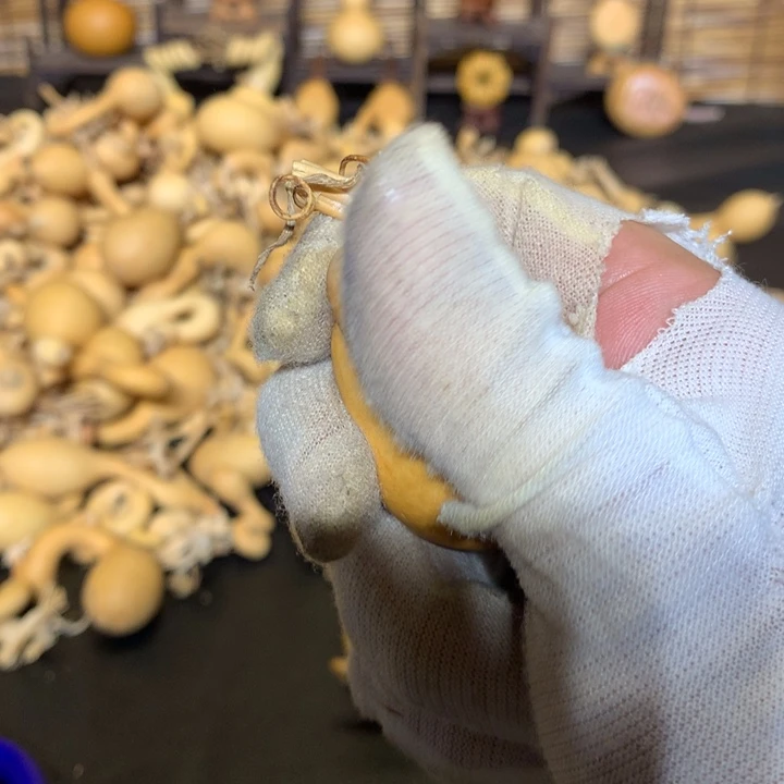 我不敢看电视我要把它