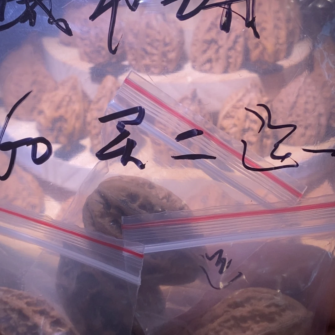 城***舟吊坠文玩核桃楸核尖商定向城市之舟